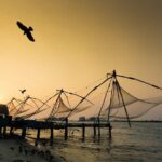 Highlights of the Kochi (Guided Half Day City Tour) - Authentic Experiences and Unique Insights