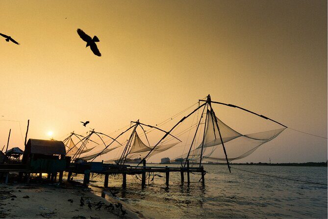 Highlights of the Kochi (Guided Half Day City Tour) - Authentic Experiences and Unique Insights