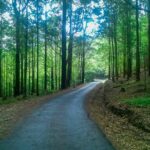 Hike to Devil's Staircase - Who Will Love This Experience?