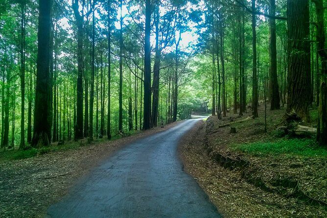 Hike to Devil's Staircase - Who Will Love This Experience?
