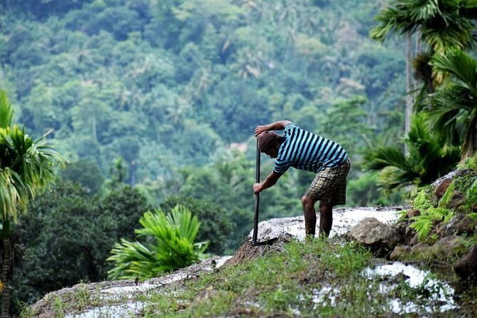 Hike to Heeloya Village Hike via Rangala - Who Would Love This Experience?