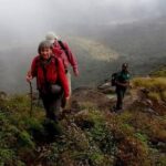Hike to Kirigalpotta Mountain Via Horton Plains National Park - What Makes This Tour Stand Out?