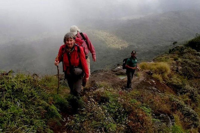 Hike to Kirigalpotta Mountain Via Horton Plains National Park - What Makes This Tour Stand Out?