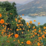 Hiking Experience to World Peace Stupa and Car Pick up - Authentic Insights from Past Travelers