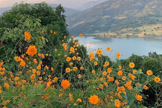 Hiking Experience to World Peace Stupa and Car Pick up - Authentic Insights from Past Travelers
