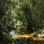 Hiking in Knuckles range with overnight accommodation in a mud cottage - Practical Details and What to Expect