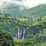 Hill Country Highlights -2 Days Private Tour - What Makes This Tour Stand Out?