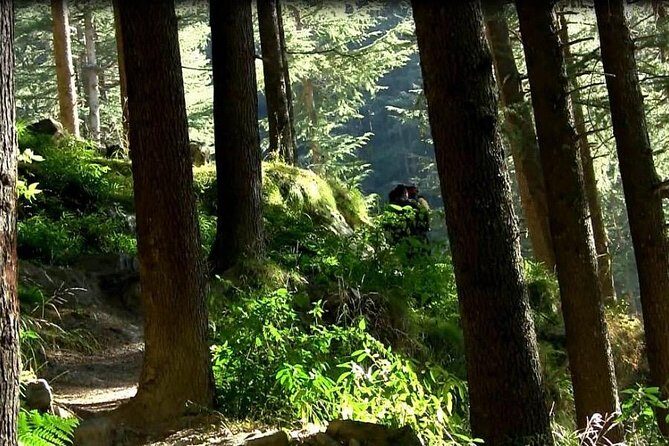 Himalayan Cottage Camping in Kasol (1n2d) - FAQs