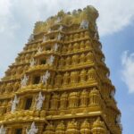 Hire a Guide for Full day Mysore sightseeing with own transport - Authentic Insights from Reviews