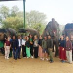 Hire Private Car with Driver For Golden Tringle Tour. - Why This Tour Offers Great Value