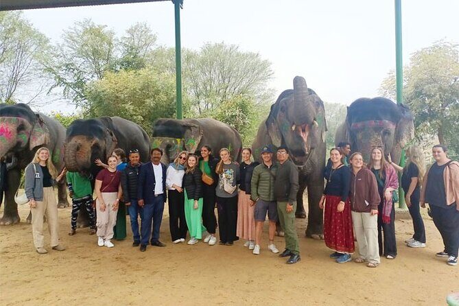 Hire Private Car with Driver For Golden Tringle Tour. - Why This Tour Offers Great Value