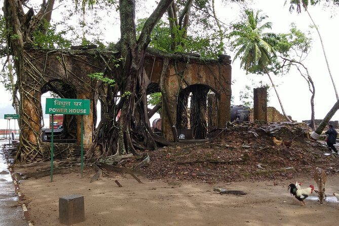 History Buffs Trails to Ross Island (3 Hours Guided Walking Tour) - What the Tour Looks Like