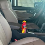 Ho Chi Minh Airport To Cai Be/My Tho Private Car Transfer - The Driver & Service