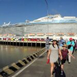 Ho Chi Minh City Private Tour Shore Excursion from Phu My Port - What Travelers Say About This Tour
