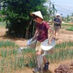 Hoi An countryside Tour from Hoi An - Da Nang City - Who Should Consider This Tour?