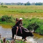 Hoi An Village Experience with 3 Villages (Escape From Noise of City ) & Lunch - Practical Details and Tips