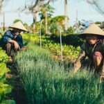 Hoi An Villages Tour: Buffalo Ride, Basket Boat, Nature, Culture - Who Should Book This Tour?