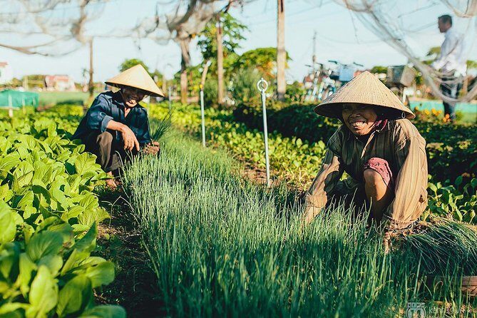 Hoi An Villages Tour: Buffalo Ride, Basket Boat, Nature, Culture - Who Should Book This Tour?