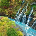 Hokkaido Day Trip From Sapporo: Asahiyama Zoo to Ningle Terrace - Who Is This Tour Best For?
