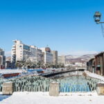 Hokkaido Otaru Aquarium, Ropeway, Cinematic Bus Tour from Sapporo - What to Expect from the Overall Experience