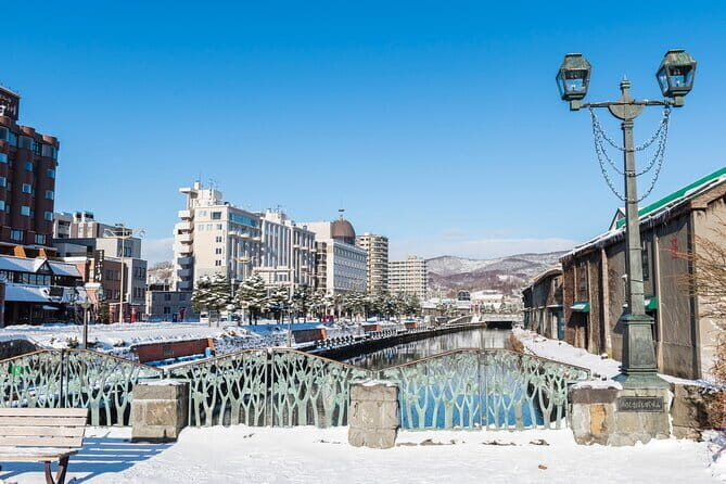 Hokkaido Otaru Aquarium, Ropeway, Cinematic Bus Tour from Sapporo - What to Expect from the Overall Experience