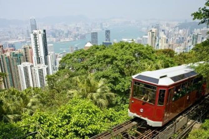 Hong Kong in One Day: Day Trip from Shanghai by Air - In-Depth Review of the Tour Experience