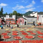 Hongcun and Chengkan Ancient Village Private Day Tour from Huangshan - Who Will Love This Tour?