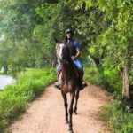 Horse Ride around a Village from Habarana - The Riding Experience