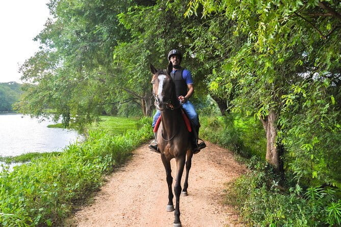 Horse Ride around a Village from Habarana - The Riding Experience