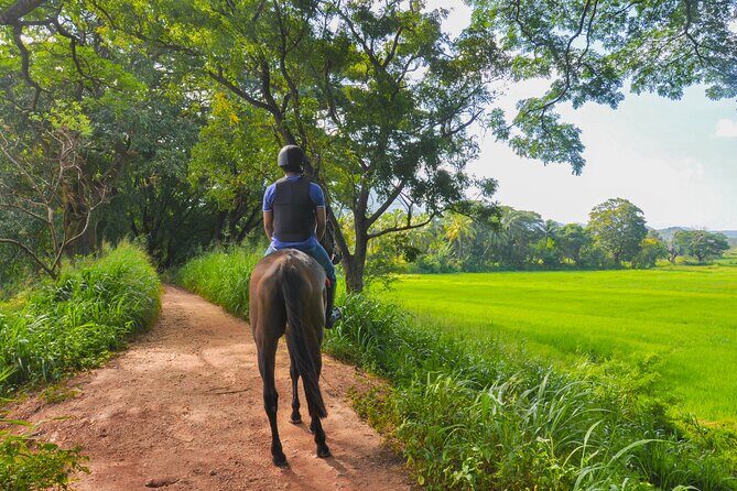 Horse Ride around a Village from Sigiriya - Who Should Consider This Tour?