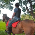 Horse Ride Experience from Dambulla - Analyzing the Price and Value