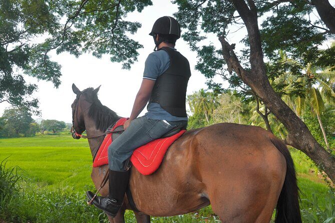 Horse Ride Experience from Dambulla - Analyzing the Price and Value