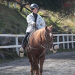 Horse riding Experience in Nature Rich Lake Shirakaba - What to Expect from the Tour