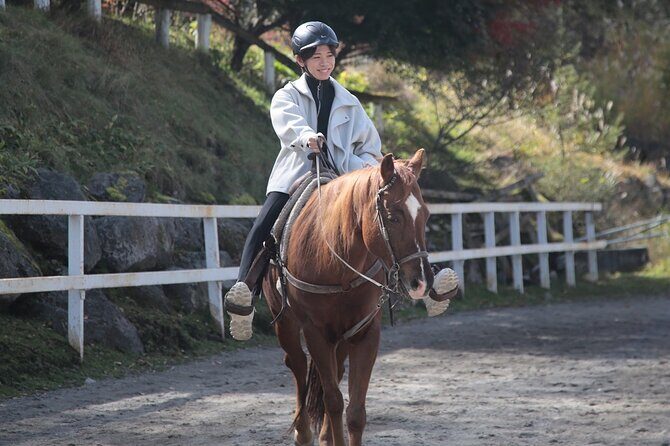 Horse riding Experience in Nature Rich Lake Shirakaba - What to Expect from the Tour