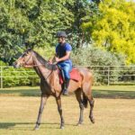 Horse Riding for Beginners from Negombo - Additional Practical Tips