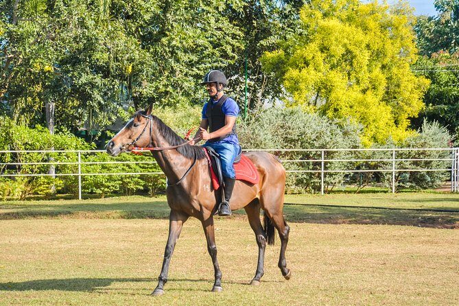Horse Riding for Beginners from Negombo - Additional Practical Tips