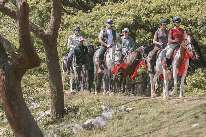 Horse riding tour (7 Days) - The Sum Up