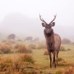 Horton Plains National Park Trekking - Who Will Love This Tour?