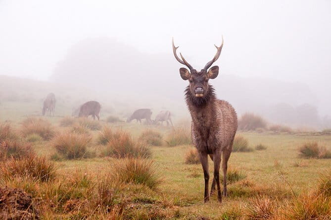 Horton Plains National Park Trekking - Who Will Love This Tour?