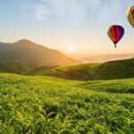 Hot Air Ballooning Day Tour - The Sum Up