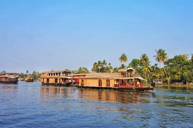 Houseboat Cruise on Alleppey Backwaters from Cochin - Authentic Experiences and Traveler Insights