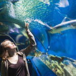 Huay Yang Waterfall and Visit Singkorn Border Market Private Tour from Hua Hin - A Detailed Look at the Tour Experience