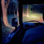 Hubli to Anshi National Park (Kali TigerReserve) & Goa Beach Tour - Who Is This Tour Best Suited For?