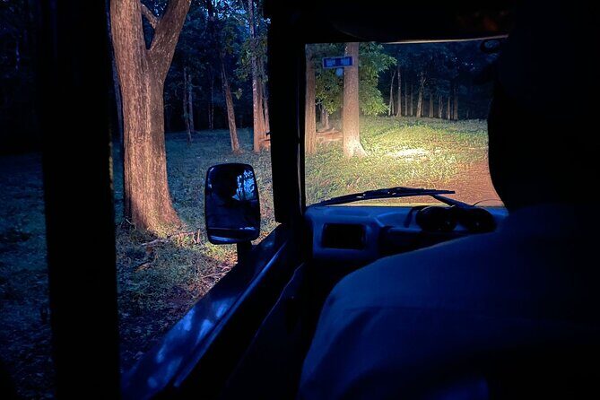 Hubli to Anshi National Park (Kali TigerReserve) & Goa Beach Tour - Who Is This Tour Best Suited For?