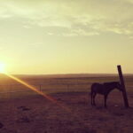 Huhhot Inner Mongolia 3 Days Xilamuren kubuqi Desert Nature Tour - What’s Included and What’s Not