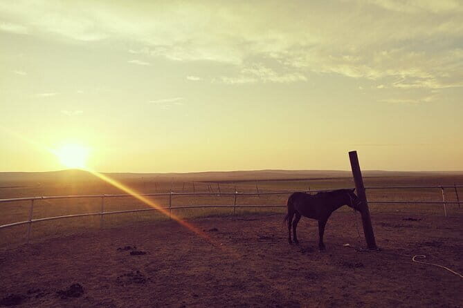 Huhhot Inner Mongolia 3 Days Xilamuren kubuqi Desert Nature Tour - What’s Included and What’s Not