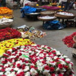 Hustle and Bustle of Bengaluru - Guided half day walking tour - Price and Value