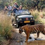 Hyderabad to Jim Corbett: 3-Day Double Safari Wildlife Tour - Key Points
