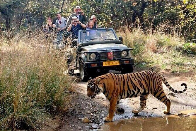 Hyderabad to Jim Corbett: 3-Day Double Safari Wildlife Tour - Key Points