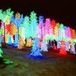 I-City Night Tour - Practical Tips for Making the Most of Your Night Tour